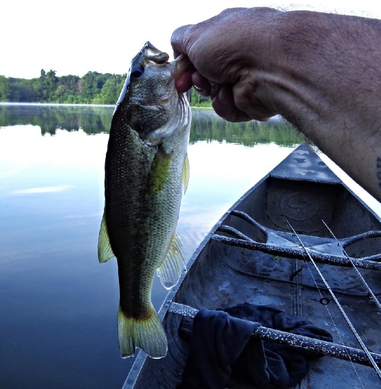 Portland fishing photo 5