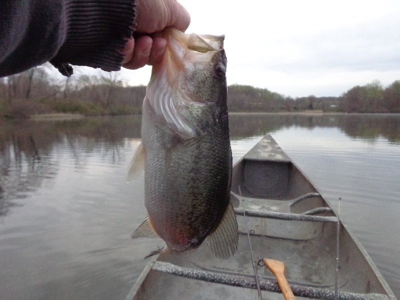 Wind Gap fishing photo 2