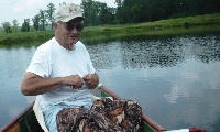Buzzard Swamp