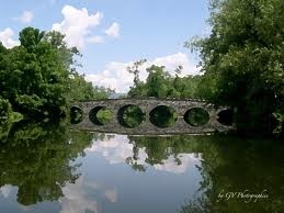 Paulins Kill river near Delaware Township