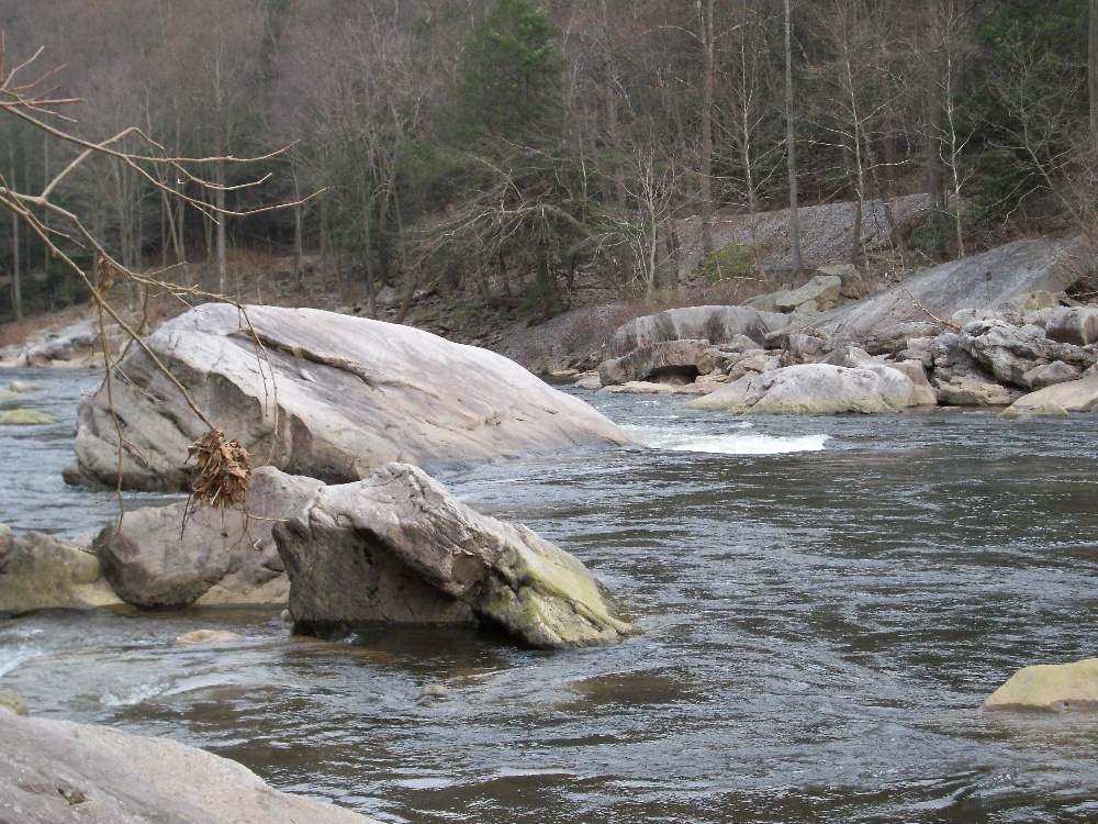 Cheat River near Stewart Township