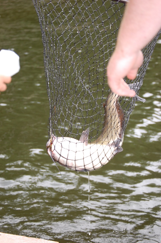 Berlin Township fishing photo 3