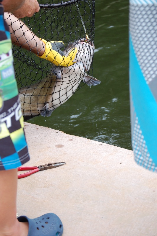 Berlin Township fishing photo 4